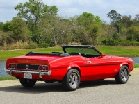 1973 Ford Mustang for sale (ID-162208)