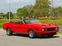 1973 Ford Mustang for sale (ID-162208)