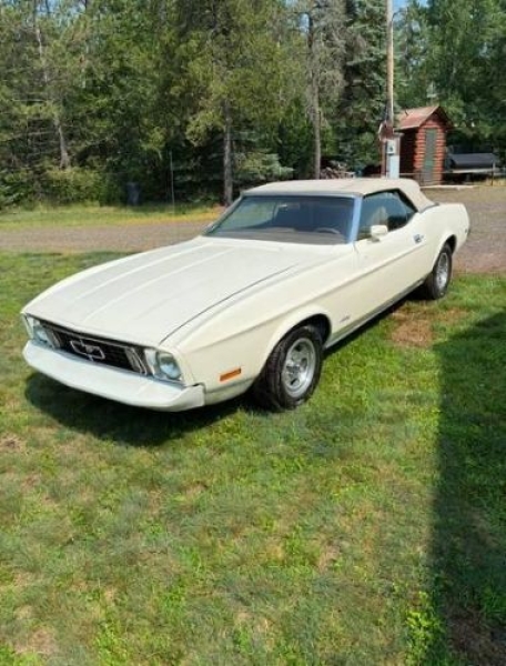 1973 Ford Mustang for sale in Michigan (ID-162628)