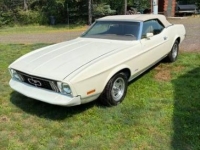 1973 Ford Mustang for sale in Michigan (ID-162628)