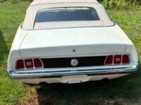 1973 Ford Mustang for sale in Michigan (ID-162628)