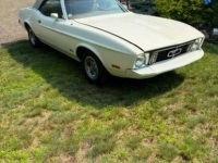 1973 Ford Mustang for sale in Michigan (ID-162628)