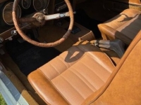 1973 Ford Mustang for sale in Michigan (ID-162628)