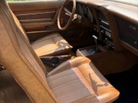 1973 Ford Mustang for sale in Michigan (ID-162628)