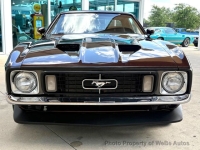 1973 Ford Mustang for sale in Riverhead, New York (ID-163009)