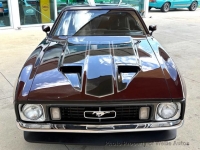 1973 Ford Mustang for sale in Riverhead, New York (ID-163009)
