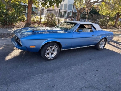 1973 Ford Mustang for sale