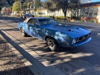 1973 Ford Mustang for sale in Michigan (ID-163915)