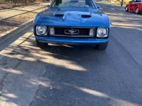 1973 Ford Mustang for sale in Michigan (ID-163915)