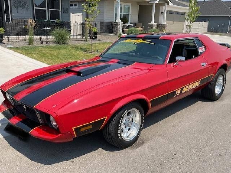 1973 Ford Mustang for sale in Michigan (ID-164085)