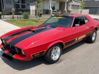 1973 Ford Mustang for sale in Michigan (ID-164085)