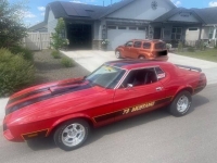 1973 Ford Mustang for sale in Michigan (ID-164085)