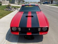 1973 Ford Mustang for sale in Michigan (ID-164085)