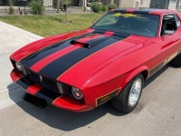 1973 Ford Mustang for sale in Michigan (ID-164085)