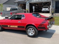 1973 Ford Mustang for sale in Michigan (ID-164085)