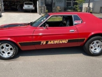 1973 Ford Mustang for sale in Michigan (ID-164085)