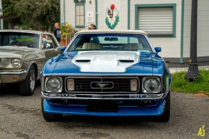 1973 Ford Mustang for sale in Michigan (ID-164096)