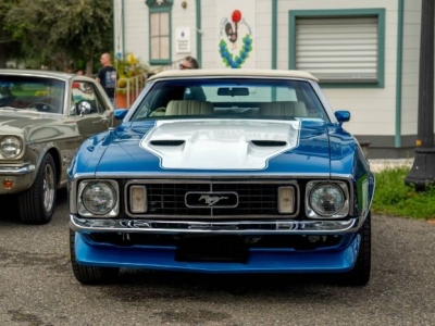 1973 Ford Mustang for sale