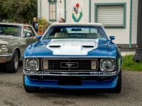 1973 Ford Mustang for sale in Michigan (ID-164096)