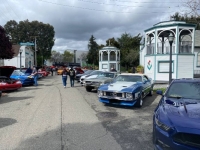 1973 Ford Mustang for sale in Michigan (ID-164096)
