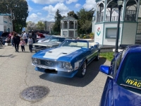 1973 Ford Mustang for sale in Michigan (ID-164096)