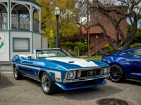 1973 Ford Mustang for sale in Michigan (ID-164096)