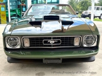 1973 Ford Mustang for sale in Riverhead, New York (ID-164181)