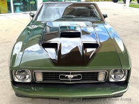 1973 Ford Mustang for sale in Riverhead, New York (ID-164181)
