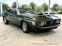 1973 Ford Mustang for sale in Riverhead, New York (ID-164181)