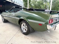 1973 Ford Mustang for sale in Riverhead, New York (ID-164181)