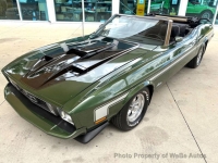 1973 Ford Mustang for sale in Riverhead, New York (ID-164181)