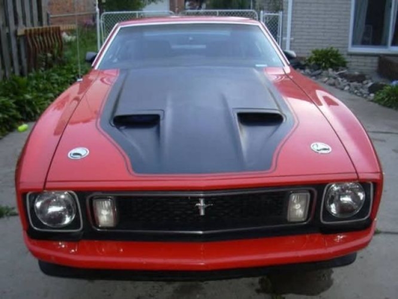 1973 Ford Mustang for sale in Michigan (ID-164465)