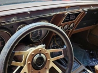 1973 Ford Mustang for sale in Michigan (ID-164465)