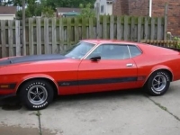 1973 Ford Mustang for sale in Michigan (ID-164465)