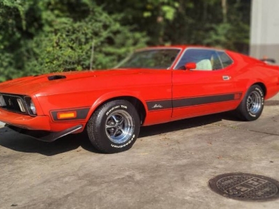 1973 Ford Mustang for sale in Michigan