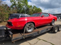 1973 Ford Mustang for sale in Michigan (ID-164587)