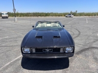 1973 Ford Mustang GT for sale in Michigan (ID-130622)