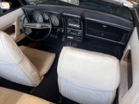 1973 Ford Mustang GT for sale in Michigan (ID-130622)