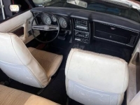 1973 Ford Mustang GT for sale in Michigan (ID-130622)