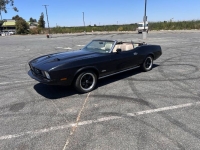 1973 Ford Mustang GT for sale in Michigan (ID-130622)
