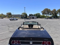 1973 Ford Mustang GT for sale in Michigan (ID-130622)