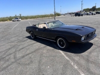 1973 Ford Mustang GT for sale in Michigan (ID-130622)