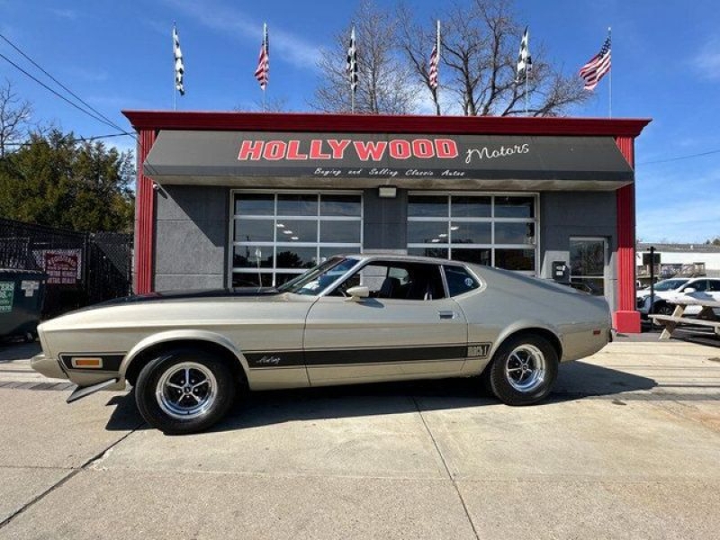 1973 Ford Mustang Mach 1 for sale in Riverhead, New York (ID-127450)