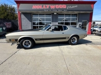 1973 Ford Mustang Mach 1 for sale in Riverhead, New York (ID-127450)