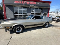 1973 Ford Mustang Mach 1 for sale in Riverhead, New York (ID-127450)