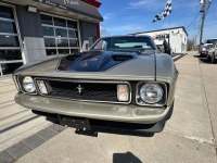 1973 Ford Mustang Mach 1 for sale in Riverhead, New York (ID-127450)