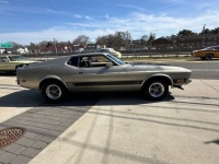 1973 Ford Mustang Mach 1 for sale in Riverhead, New York (ID-127450)