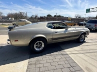 1973 Ford Mustang Mach 1 for sale in Riverhead, New York (ID-127450)