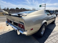1973 Ford Mustang Mach 1 for sale in Riverhead, New York (ID-127450)