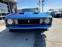 1973 Ford Mustang Mach 1 for sale in Riverhead, New York (ID-127734)